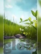 参加世界杯间格年数-参加世界杯的间格年数，足球盛宴的周期性魅力