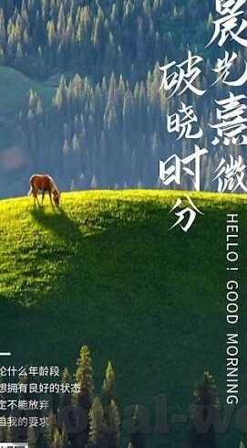 竞彩足球即时比分新浪-探秘竞彩足球即时比分新浪，一场数据与激情的完美碰撞