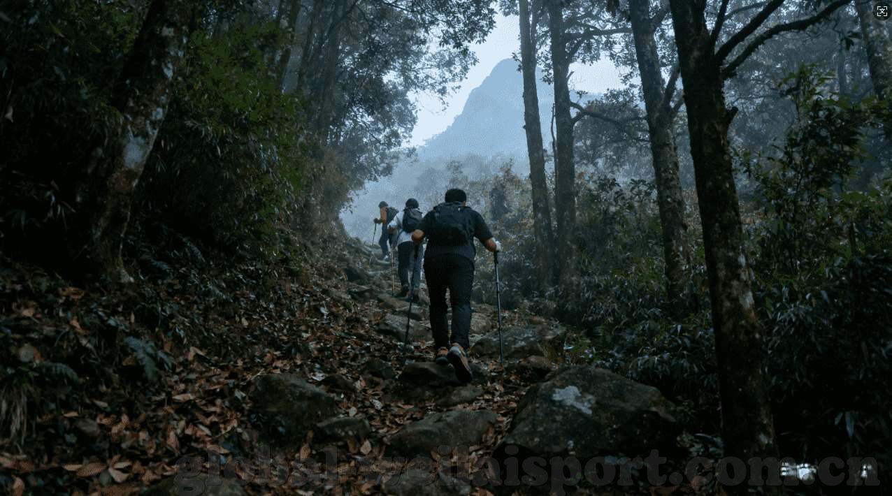 mk体育登录入口-MK体育，解锁专属的云端赛场登录之旅